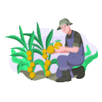 Farming Animation icon - Clickmatt PVT LTD